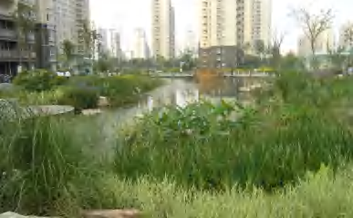 统建百步亭生态湿地系统
