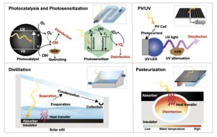 1667893176696243.png 01.png